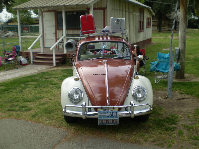 Bugs&Buses Invade 08 038.jpg