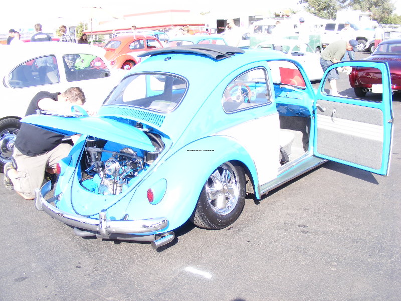 Bug-O-Rama 054.jpg