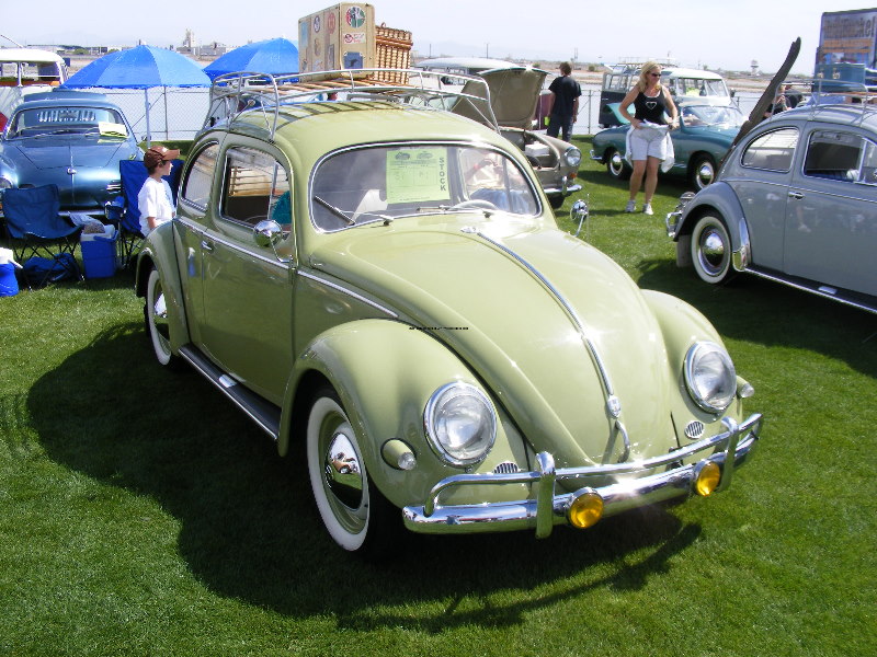 Bug-O-Rama 091.jpg