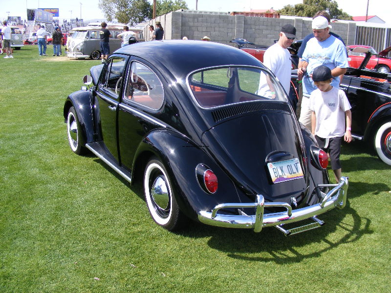 Bug-O-Rama 096.jpg