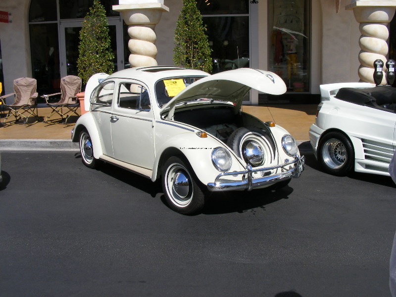 Bug-o-rama 089.jpg